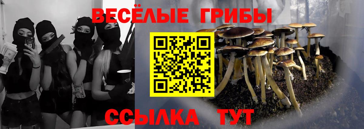 Галлюциногенные грибы Magic Shrooms  Вход с VPN  Псков 